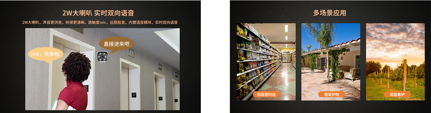高清網絡攝像頭AS801